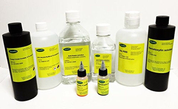 Neutral Buffered Formalin