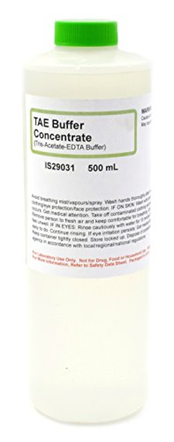 Tris-Acetate-EDTA Buffer Concentrate, 500mL