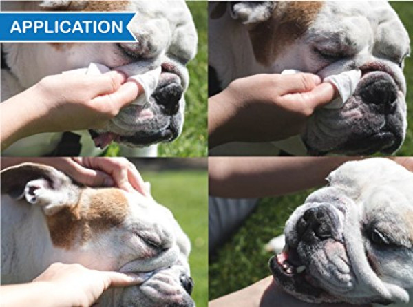 Squishface Wrinkle Paste - Cleans Wrinkles, Tear Stains and Tail Pockets - 2 Oz, Anti-Itch, Great for Bulldogs, Pugs and Frenchies