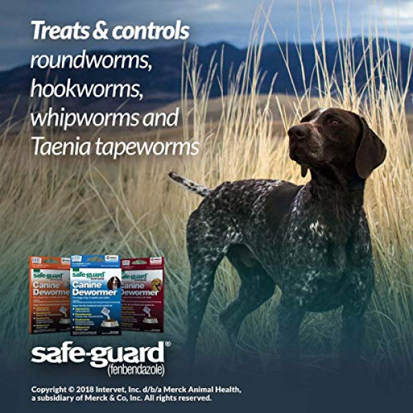 SAFE-GUARD (fenbendazole)  Dewormer
