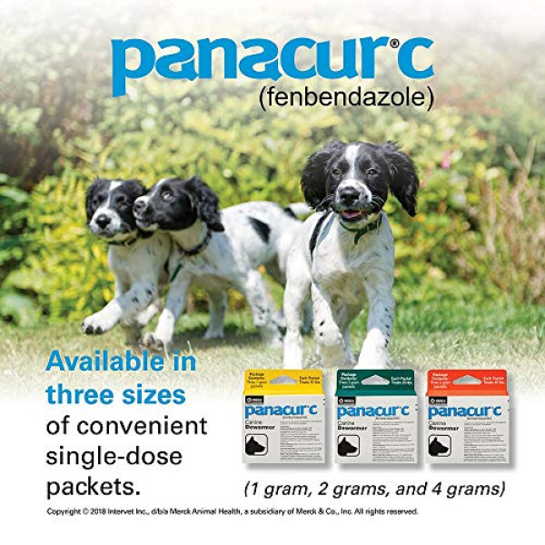 Panacur C Dewormer (Fenbendazole), 4 Gram