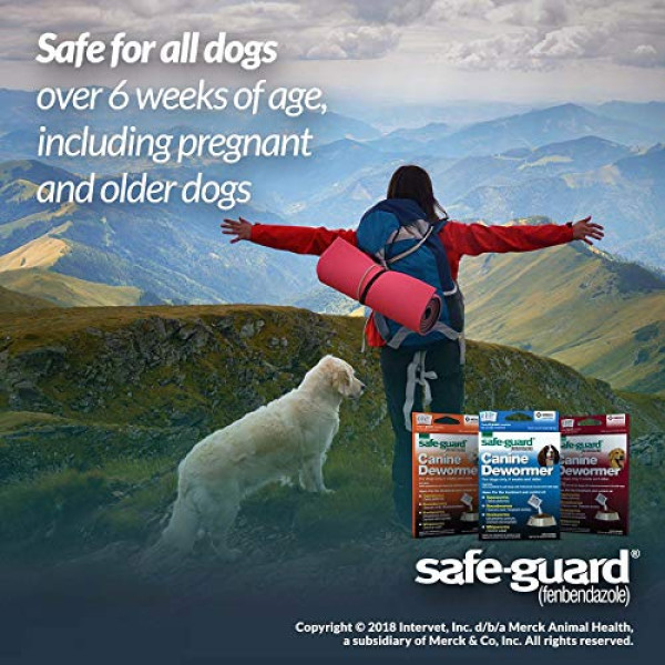 SAFE-GUARD (fenbendazole)  Dewormer