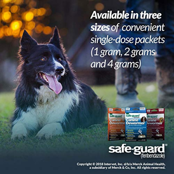 SAFE-GUARD (fenbendazole)  Dewormer