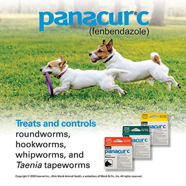 Panacur C Dewormer (Fenbendazole), 4 Gram